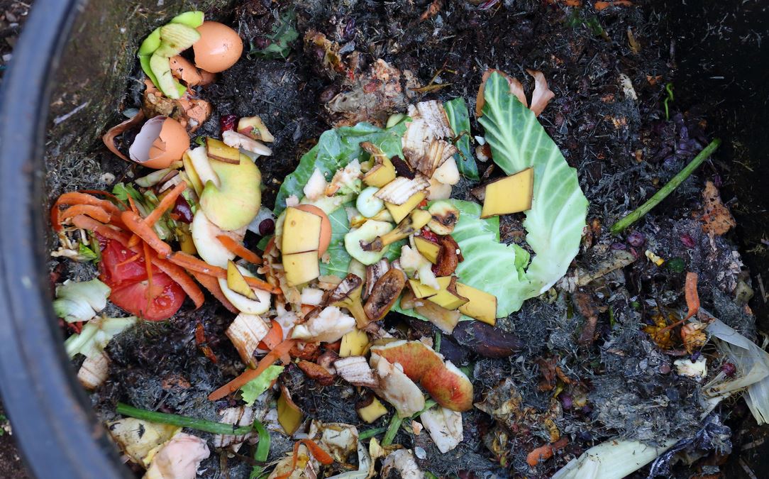 Avoir Une Terre Riche Sans Angrais Chimique, Compost