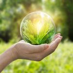 Plantes Prevention Cancer