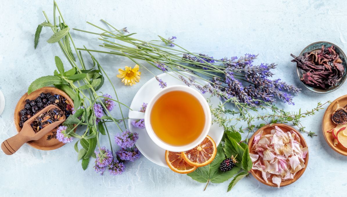 Tisane Avec Différentes Plantes Autour