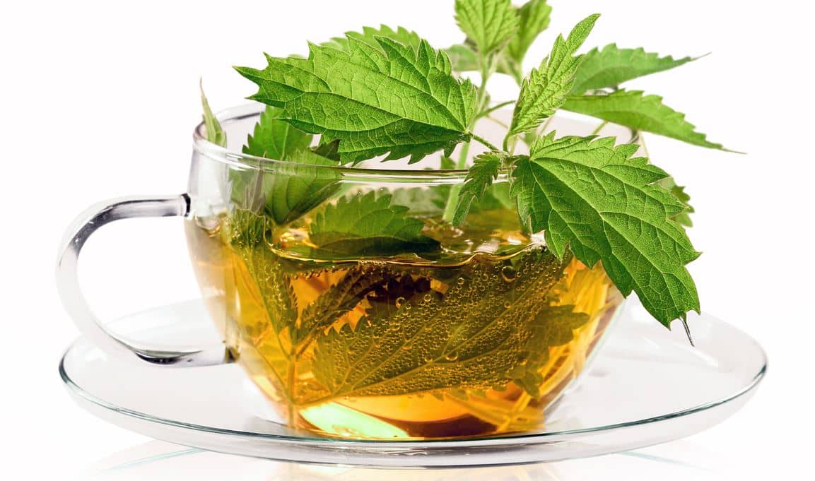 Tisane Orties