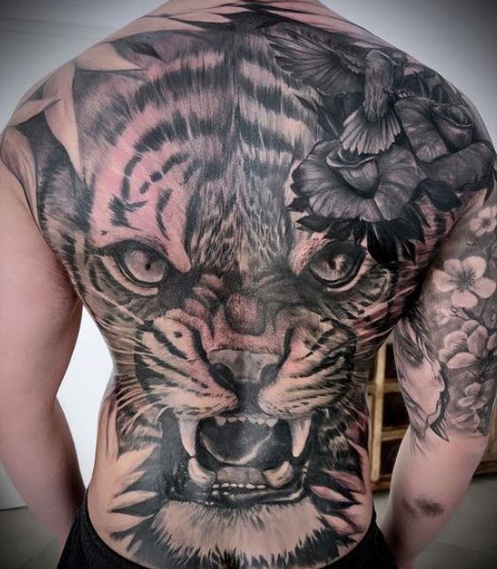 Tatouage Tigre & Oiseau