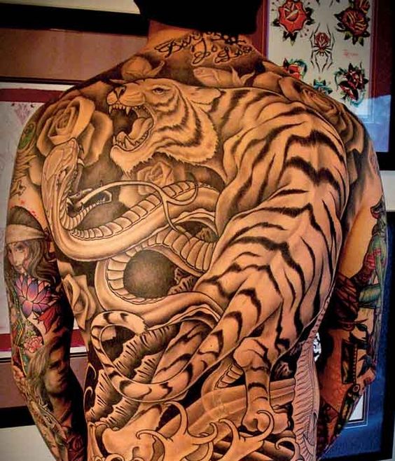 Tatouage Tigre & Serpent