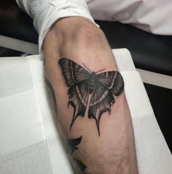 Tatouage Papillon Porte Queue Noir Et Gris Sur L’avant Bras