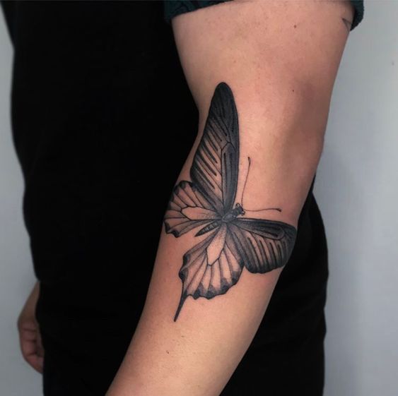 Tatouage Papillon Machaon En Noir & Gris Sur L’avant Bras 