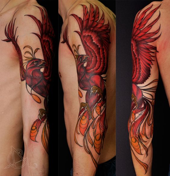 Tatouage Phoenix Old School Rouge Sur Le Bras