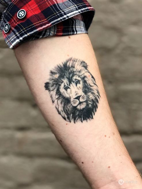 Tatouage Lion Minimaliste Noir Et Gris Sur L’avant Bras