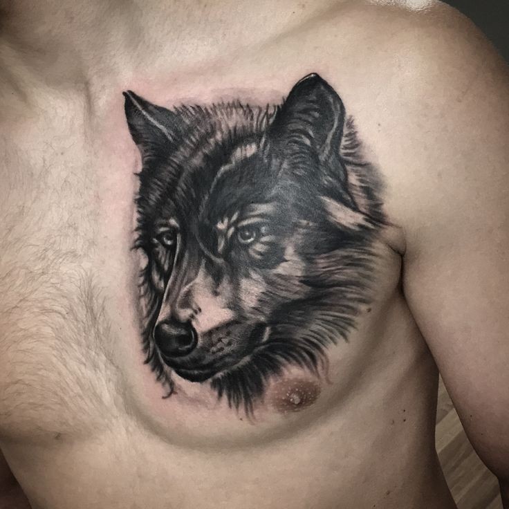 Tatouage Loup Noir Et Gris Sur Le Torse