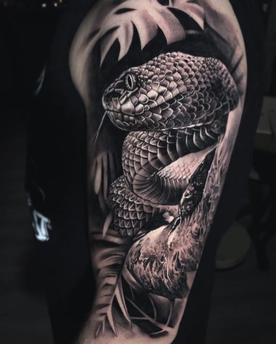 Tatouage Serpent Réaliste Et Feuilles Sur Le Bras
