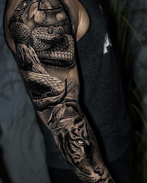 Tatouage Vipère Réaliste Et Tigre Sur Le Bras