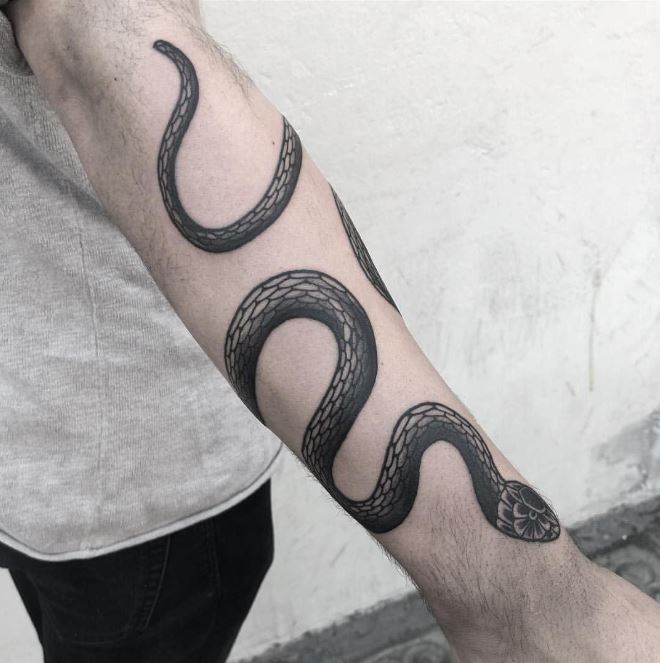 Tatouage Serpent Noir Sur L'avant Bras