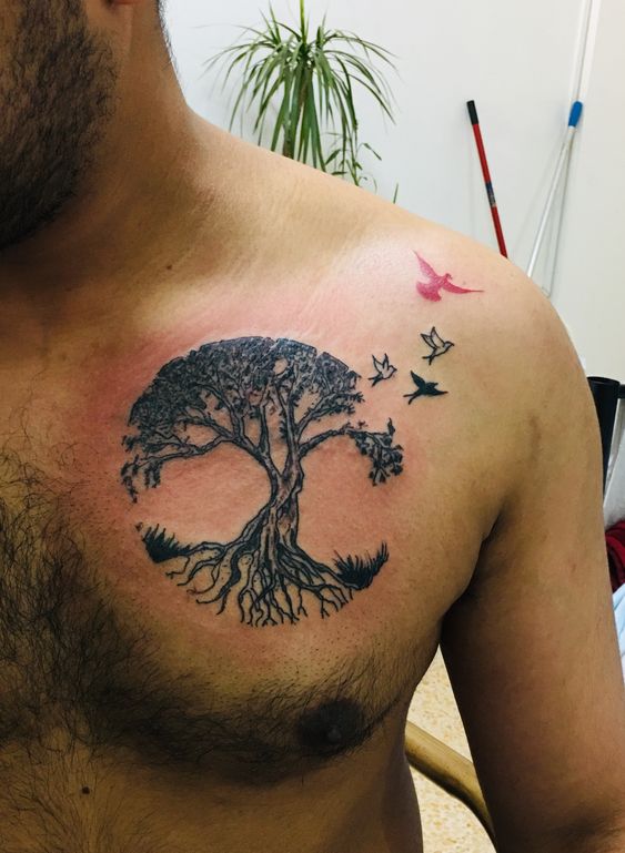 Tatouage Arbre De Vie Avec Oiseaux Sur Le Torse