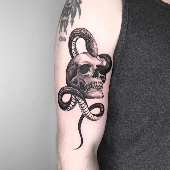 Tatouage Serpent Et Crâne Sur Le Bras