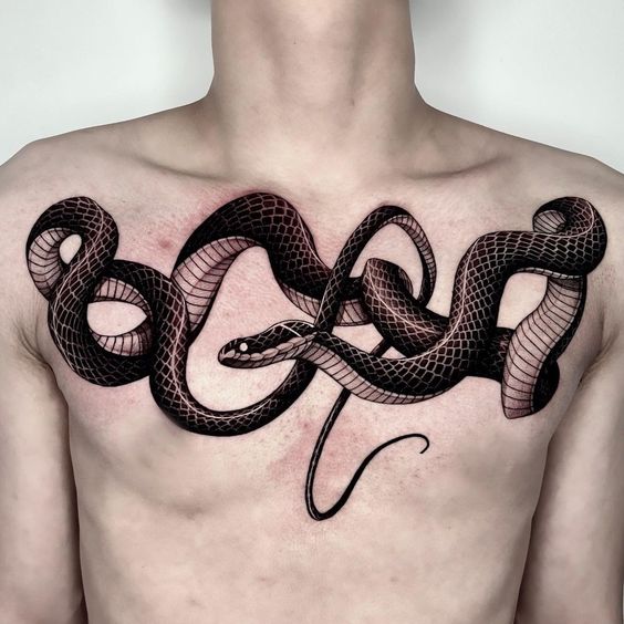 Tatouage Serpent Noir Sur Le Torse