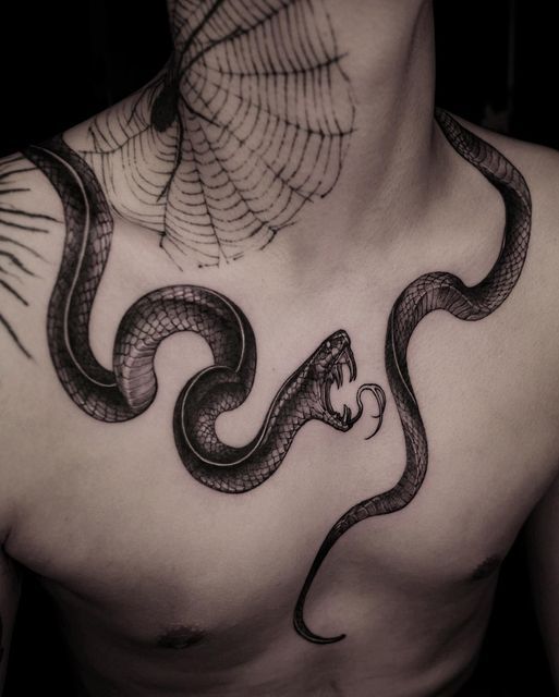 Tatouage Serpent Noir Et Araignée Sur Le Torse