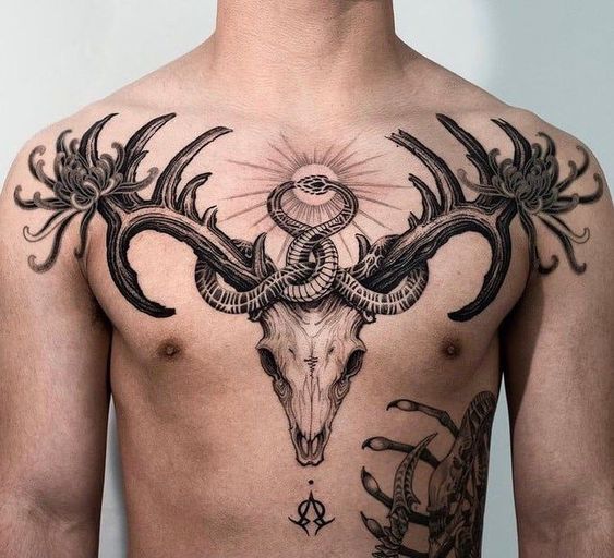 Tatouage Serpent Et Crâne De Cerf Sur Le Torse