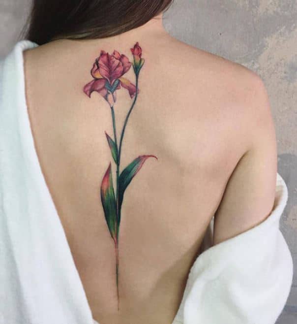 Tatouage Fleurs Rouges Sur La Colonne Vertébrale