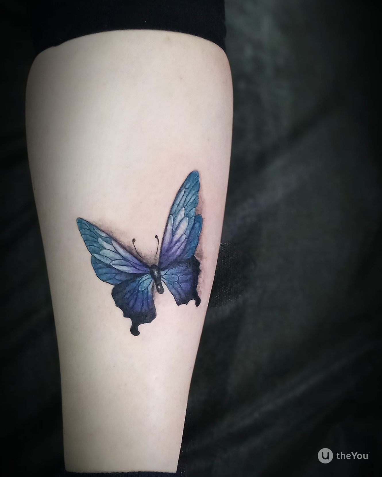 Tatouage Papillon 3d Sur Le Mollet