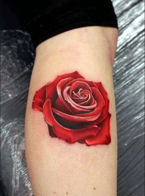 Tatouage Rose Rouge Réaliste Sur Le Mollet