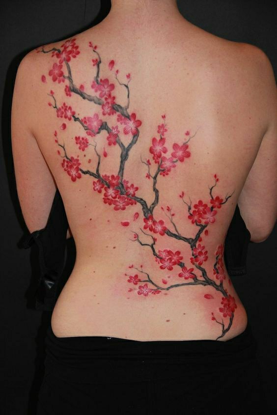 Tatouage Fleurs De Cerisier Sur Le Dos