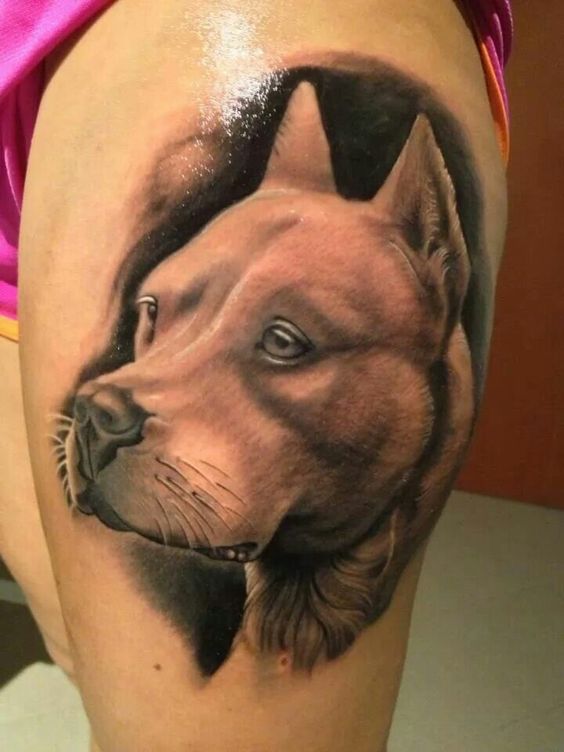 Tatouage Pitbull En Noir Et Gris Sur La Cuisse