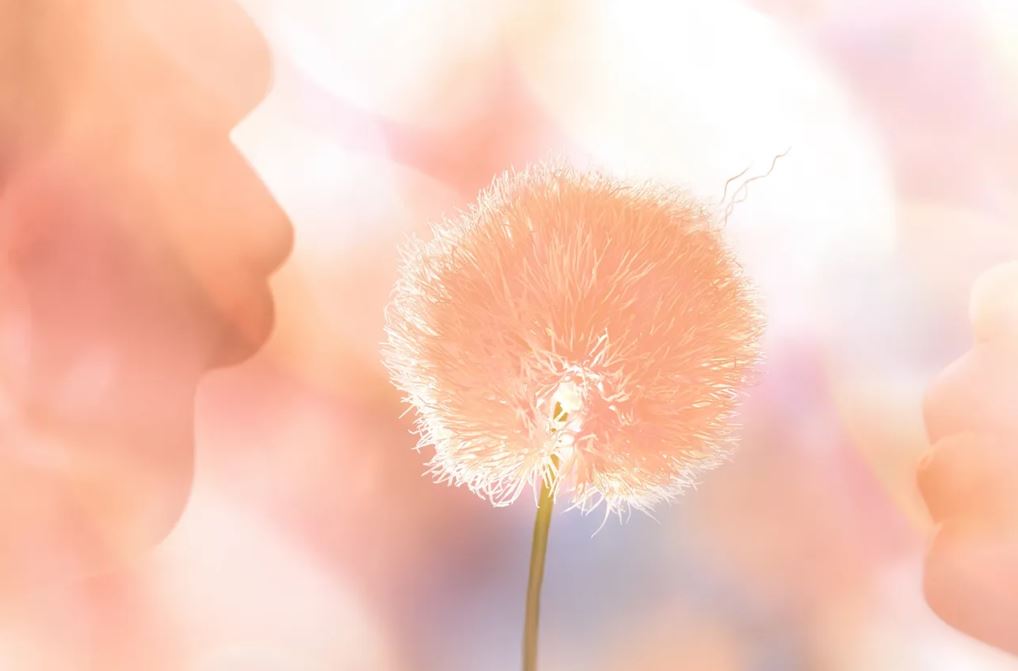 visuel Peach Fuzz