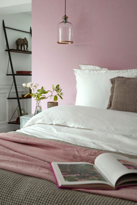 peinture Rose Tendre