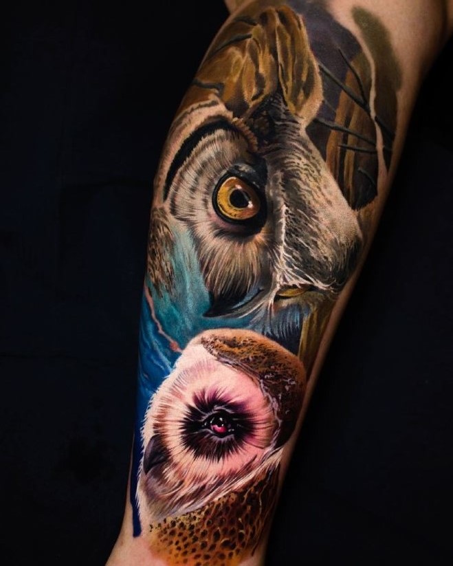 Tatouage Hiboux Colorés Sur Le Mollet