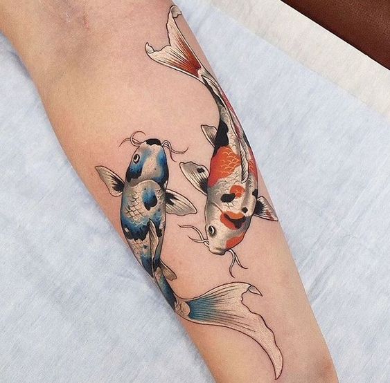Tatouage Poissons Koi Bleu Et Orange Sur L'avant Bras