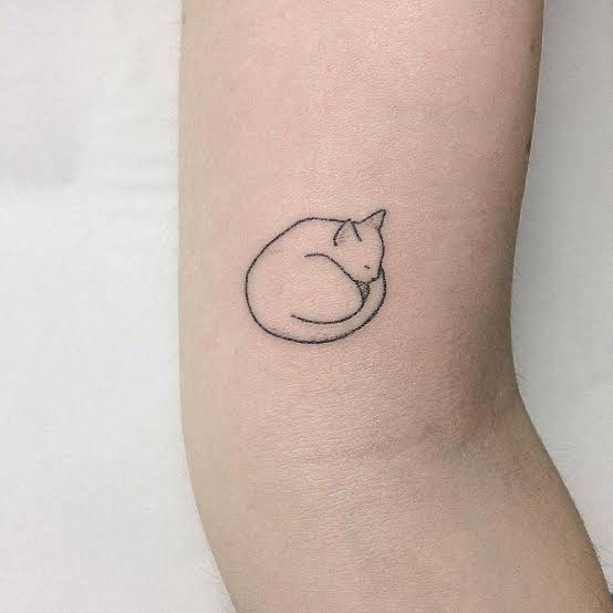Tatouage Chat Qui Dort Sur Le Bras