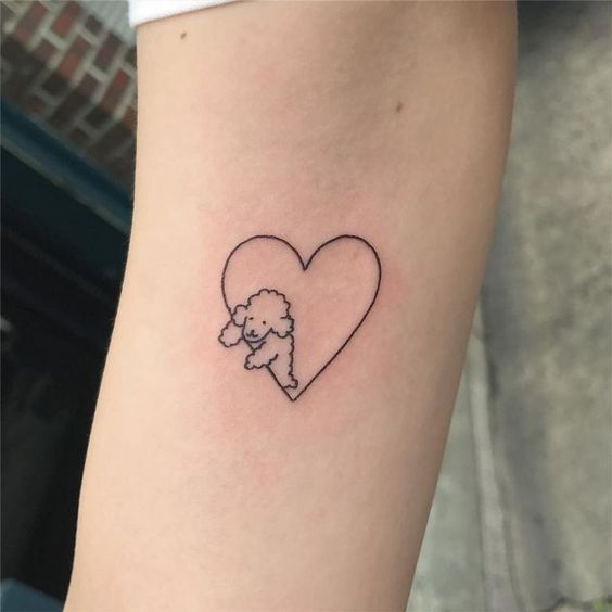 Tatouage Caniche Minimaliste Avec Coeur Sur L'avant Bras