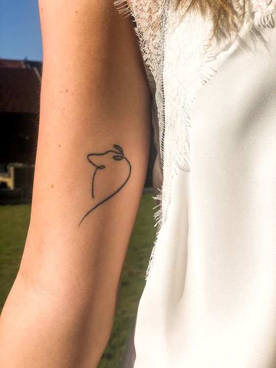 Tatouage Border Collie Minimaliste Sur Le Bras