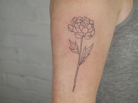 Tatouage Pivoine En Lignes Fines Sur Le Bras