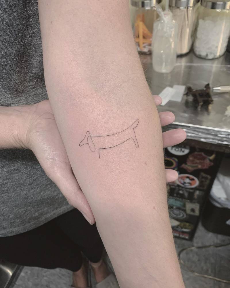 Tatouage Teckel En Trait Unique Sur L'avant Bras