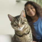 Chat en appartement